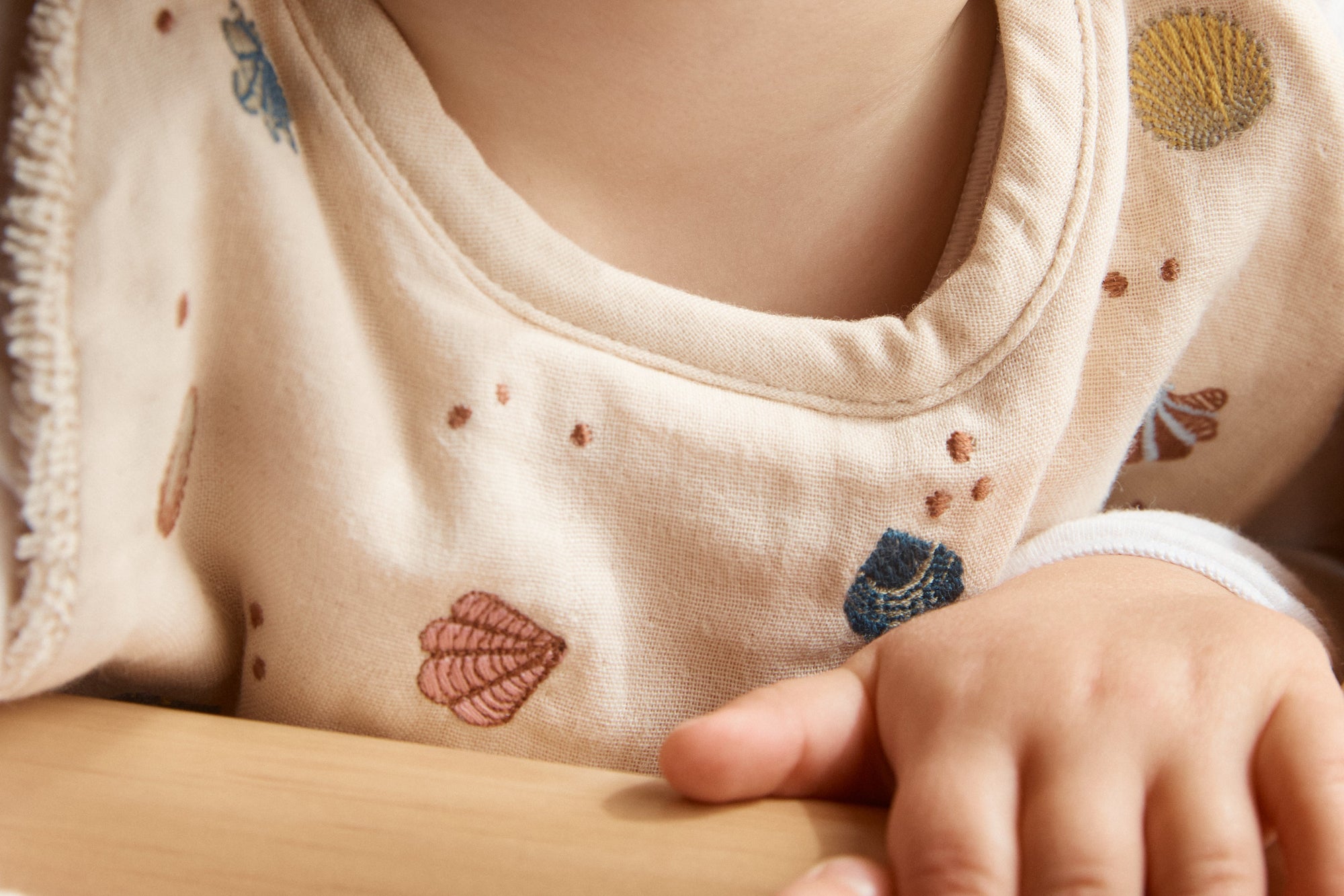Baby wearing embroidered bib